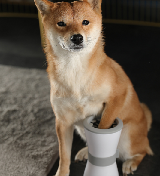 Electric foot washing cups for pets