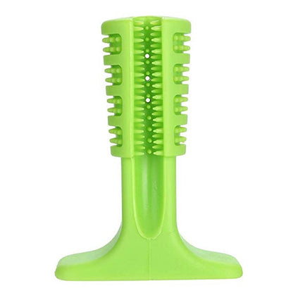 Dog Tooth Brush toy