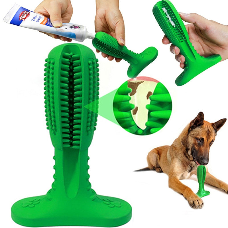 Dog Tooth Brush toy